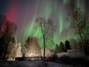 Villa Kosmik Riverside