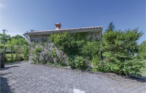 Stunning Home In Lupoglav With Wifi