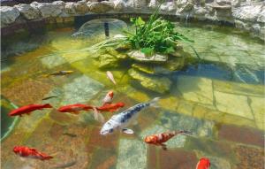 Nice Studio In Omis With House Sea View