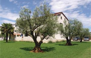 Amazing Apartment In Porec With Wifi 