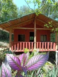 Cabaña De Montaña - Copal