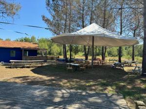 B&B / Chambres d'hotes Blue : La Roulotte du Medoc : photos des chambres