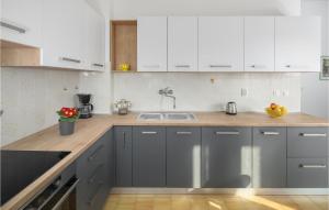 Nice Apartment In Nedescina With Wifi 