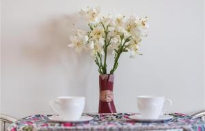 Gorgeous Home In Martina With Wifi