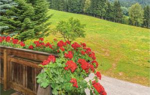 Ferienwohnung In Fresach