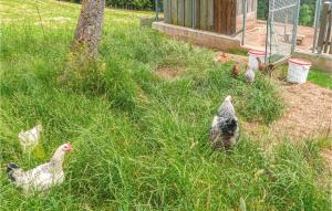 Ferienwohnung In Fresach