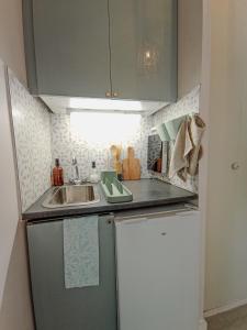 Studio 50m tram parking gratuit 13min gare