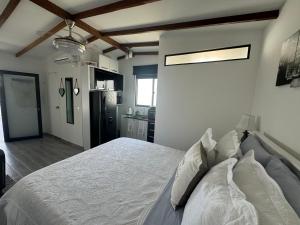 Modern apartmentStudio