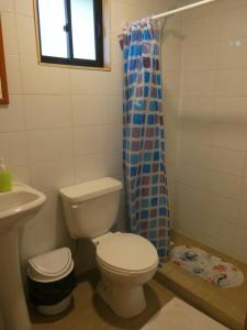 Cabaña en la naturaleza Futrono