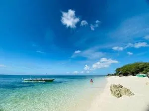 Hibiscus Dive Inn - Pooc