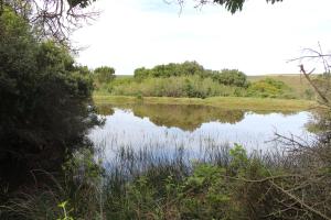 Bushbuck Farm Eco-Retreat