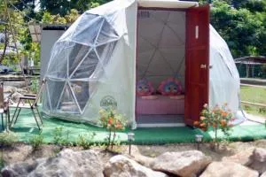 แพนด้าแคมปิ้งเขาใหญ่ - Khanong Phra