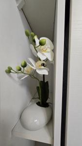 Appartements Mini Studio Dore 10m2 : photos des chambres