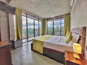 Catch Up Dambulla