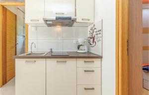 Pet Friendly Home In Bribir With Wifi 