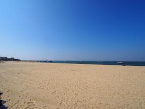 Appartements Appartement a Arcachon avec terrasse, proche plage et parking - FR-1-474-268 : photos des chambres