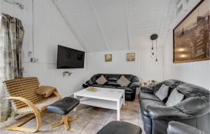 Pet Friendly Home In Ringkøbing