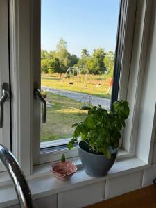 Boende på Marholmen