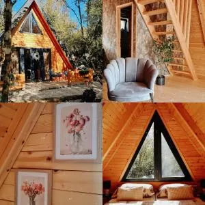 Woodland paradise Charming wooden houses in stone - Vrgorac