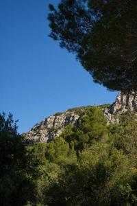 Appartements Charmant Studio en Provence : Appartement 1 Chambre avec Jardin