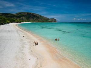 Scar Reef Resort - Beachfront Paradise HALF BOARD or NIGHT STAY