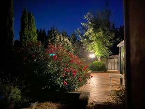 Appartements le domaine des cypres location gite piscine a Bedoin, Mont-Ventoux : photos des chambres