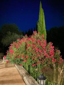 Appartements le domaine des cypres location gite piscine a Bedoin, Mont-Ventoux : Appartement 2 Chambres