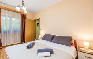 2 Bedroom Gorgeous Home In Veli Brgud