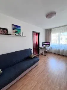 Cozy Apartments - Vasile Roaită