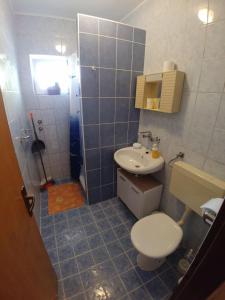 Apartment Svetka