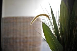 2BDR - City Explorer