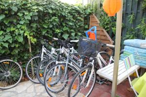 Studio Zadar - Diklo 12854a