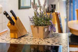 Haus Hügel - Wohnung 1