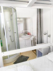 Appartements Le Beau Site appartement chaleureux et lumineux tout a pieds : photos des chambres