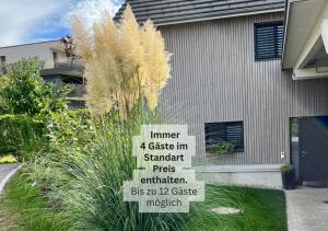 Ferienhausträume Oase Bodensee