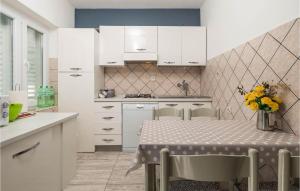 Awesome Apartment In Stara Novalja With Kitchen 