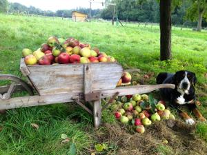 B&B / Chambres d'hotes La Ferme des Isles : photos des chambres