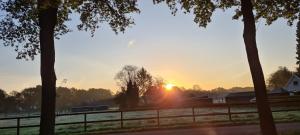 Lodge de Vos luxe en vrijstaande lodge bij het Speulder- en Spielderbos