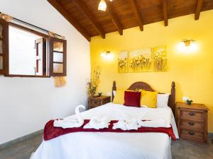 Live masca casatarucho