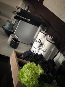 Appartements Sous les toits du Zinc - Climatise : photos des chambres