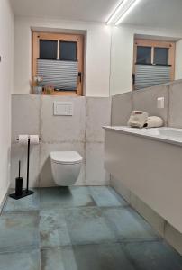 Apartment Stadtmauerloft Gmünd