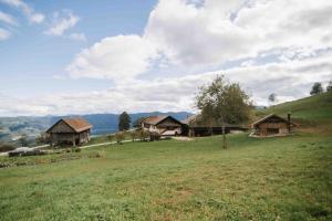 Apartment Skala with Magnificent view