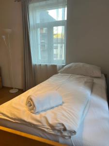 Traditional Apartments Salzburg