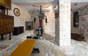 Stunning Home In Lovinac With Wifi 