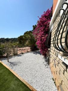 Appartements T2 niche entre mer et montagne : Appartement 1 Chambre