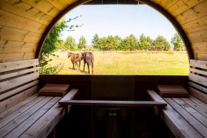 Ferienhaus Ankerplatz