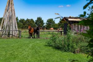 Ferienhaus Ankerplatz