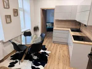 Sušilova 14 apartments I - 克罗梅日什