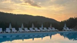 Forest Camp - 兹德罗