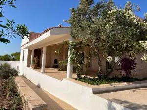 Villa de campagne - Zaouiet Bouzarktoune